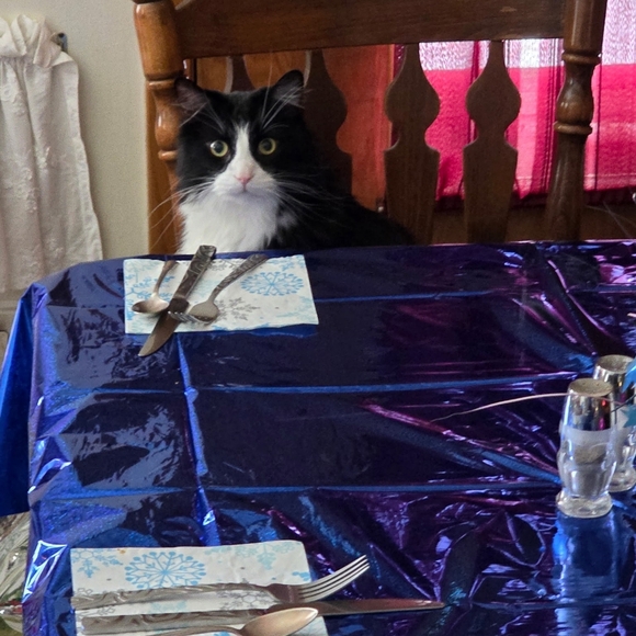 Share With Color Group Invite & Chat🌈 - Picture 1 of 1